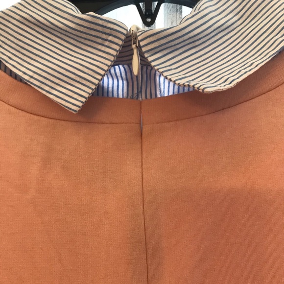 Preppy Crown and Ivy Dress - Picture 3 of 3